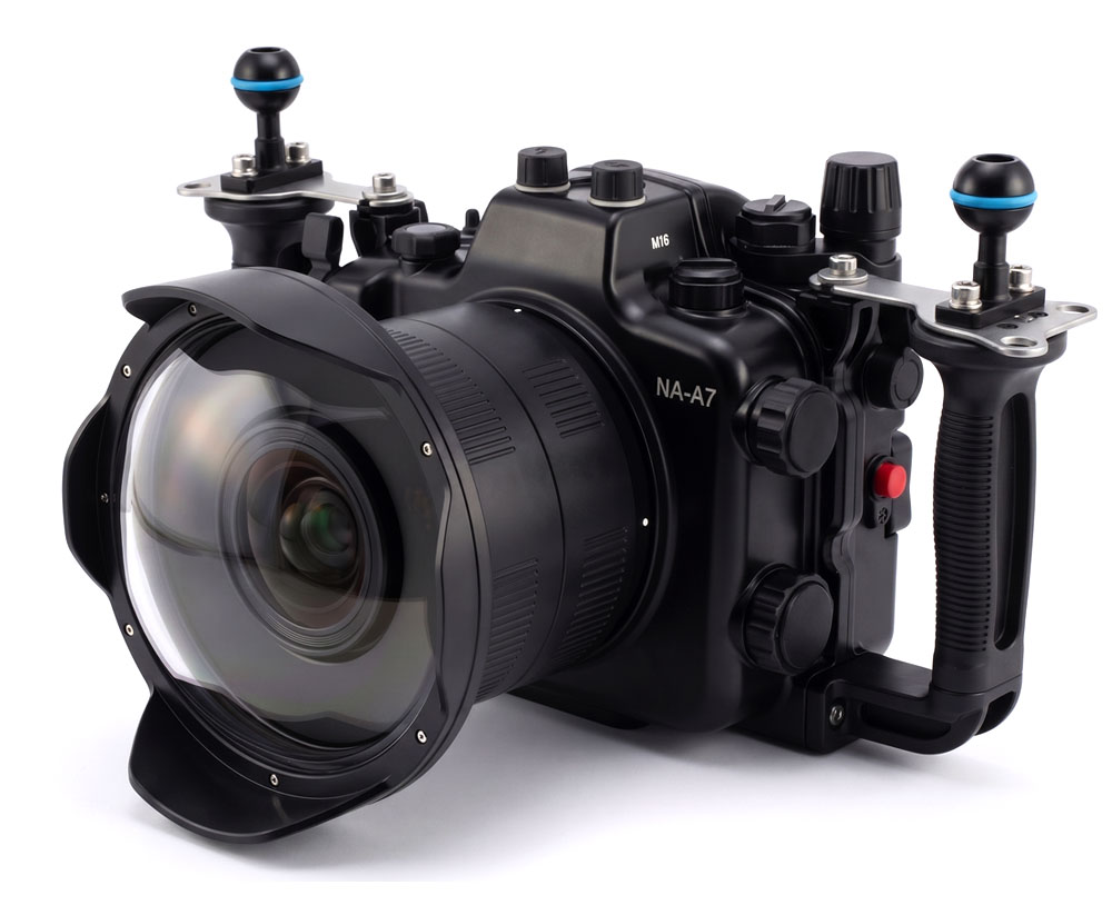 Sony A7SII